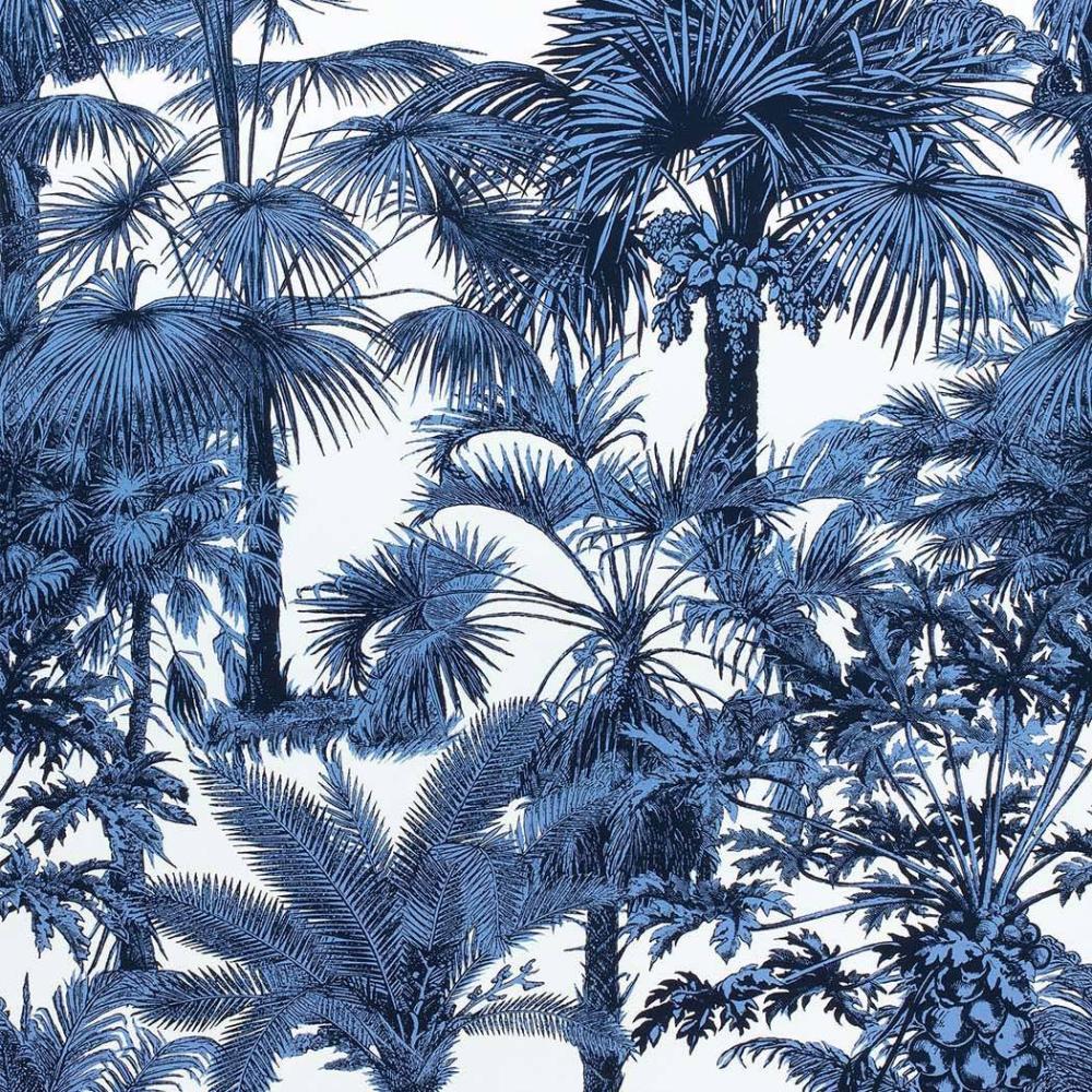 Palm Botanical