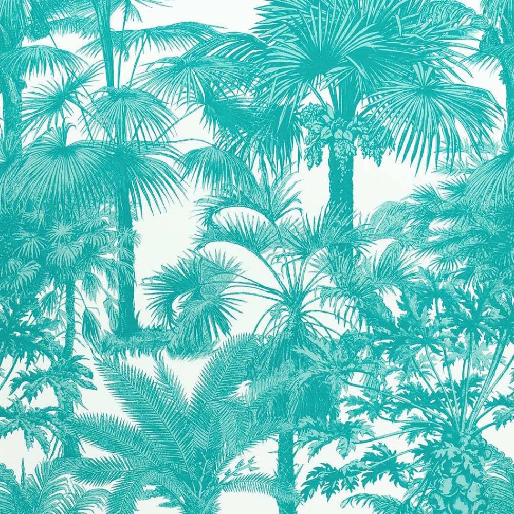 Palm Botanical