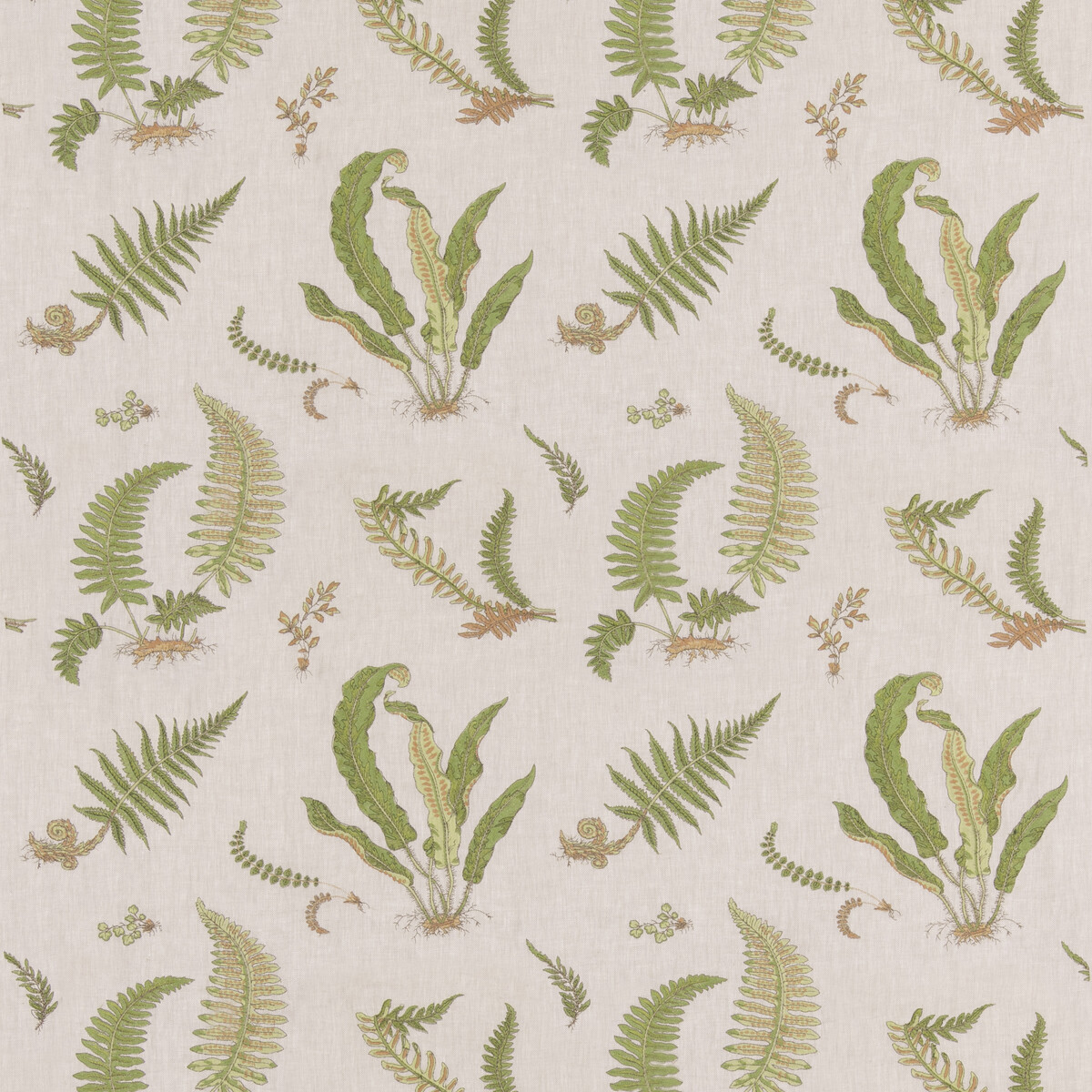 Ferns Embroidery