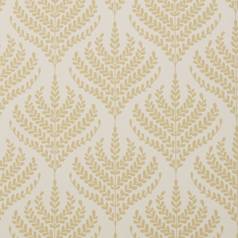 Paisley Fern