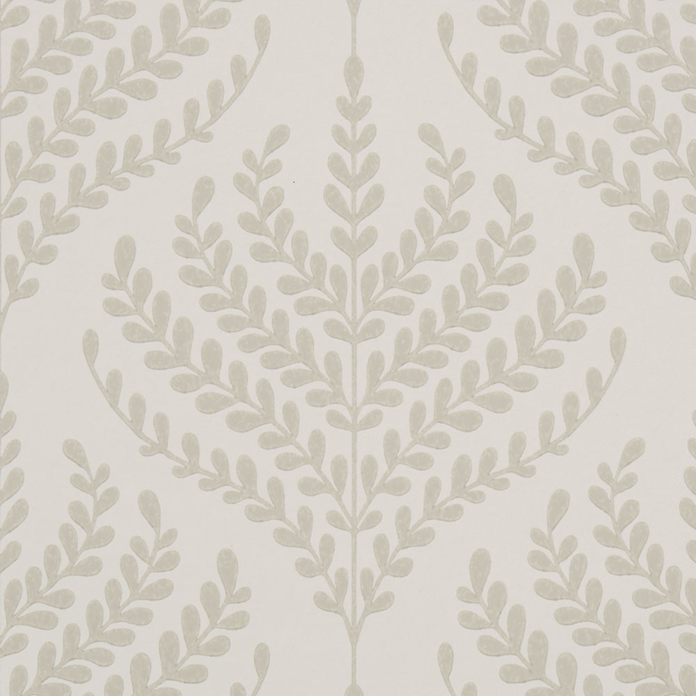 Paisley Fern