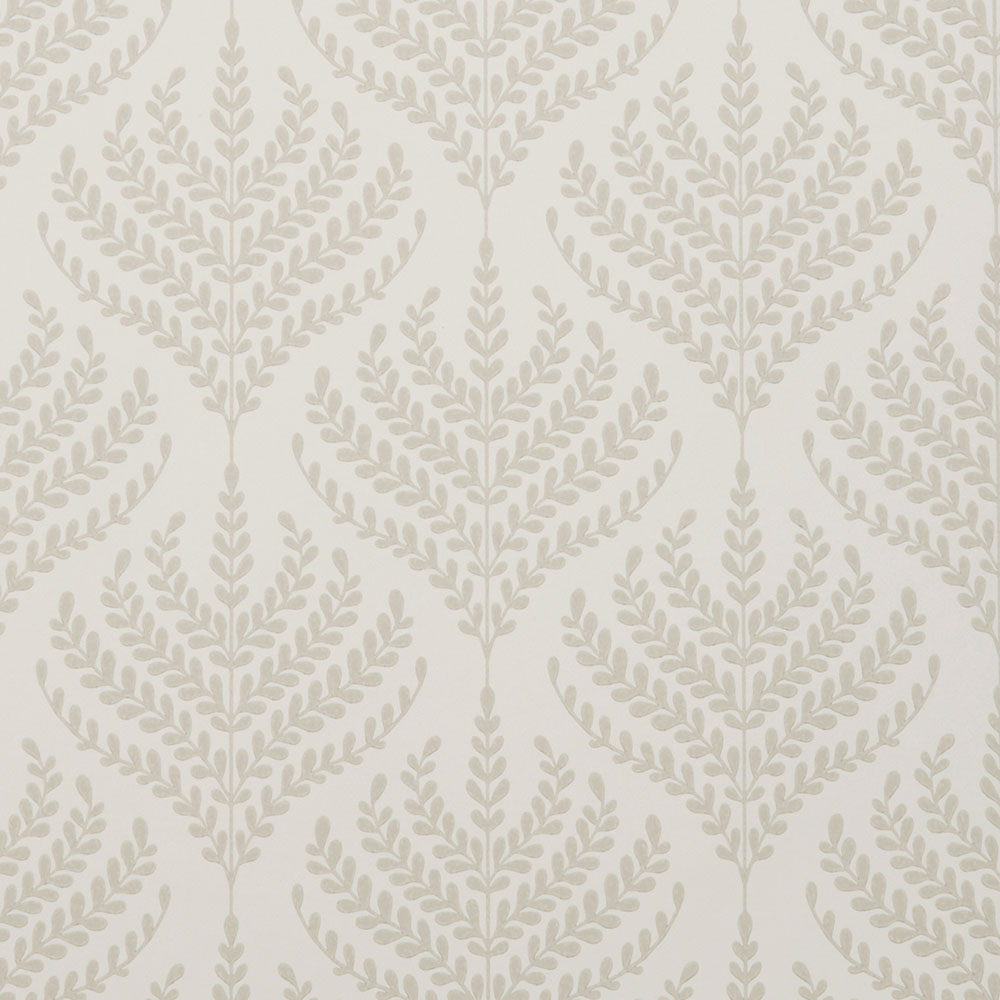 Paisley Fern