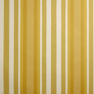 Obi Stripe