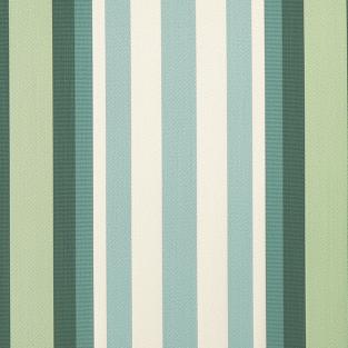 Arlo Stripe