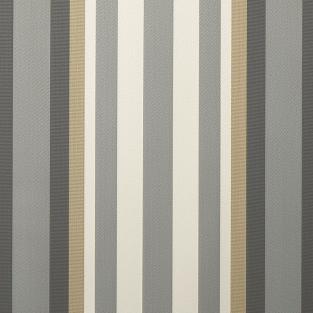 Arlo Stripe