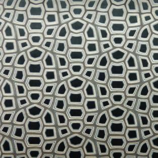 Carapace