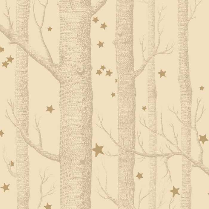 Woods & Stars