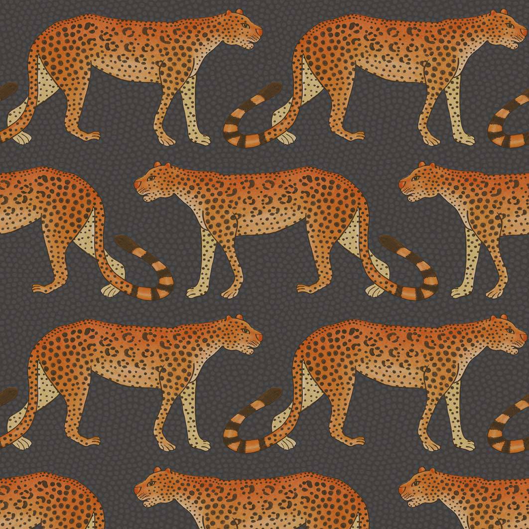 Leopard Walk