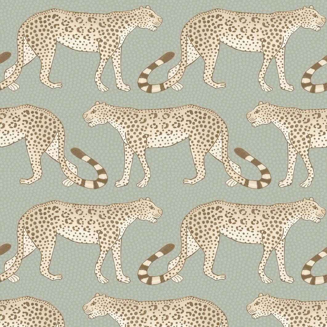 Leopard Walk
