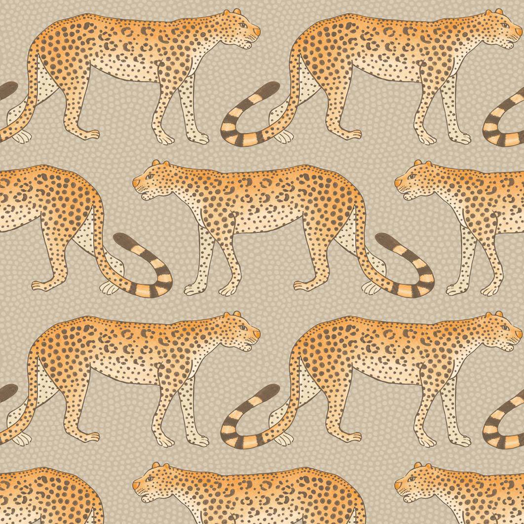Leopard Walk