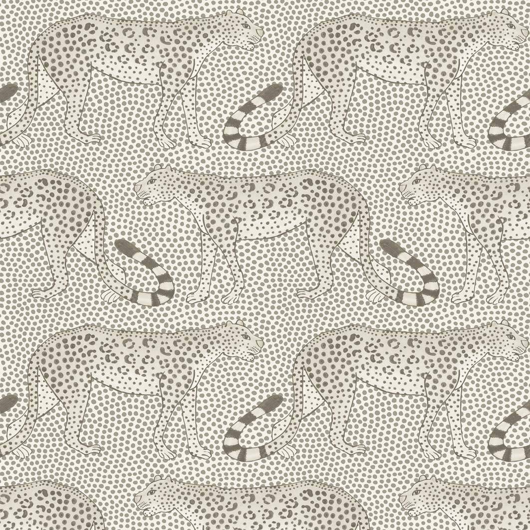 Leopard Walk