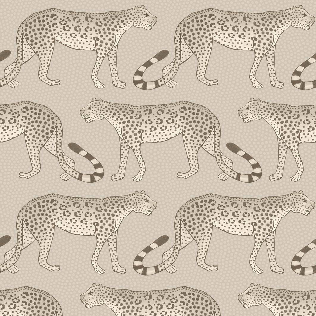Leopard Walk