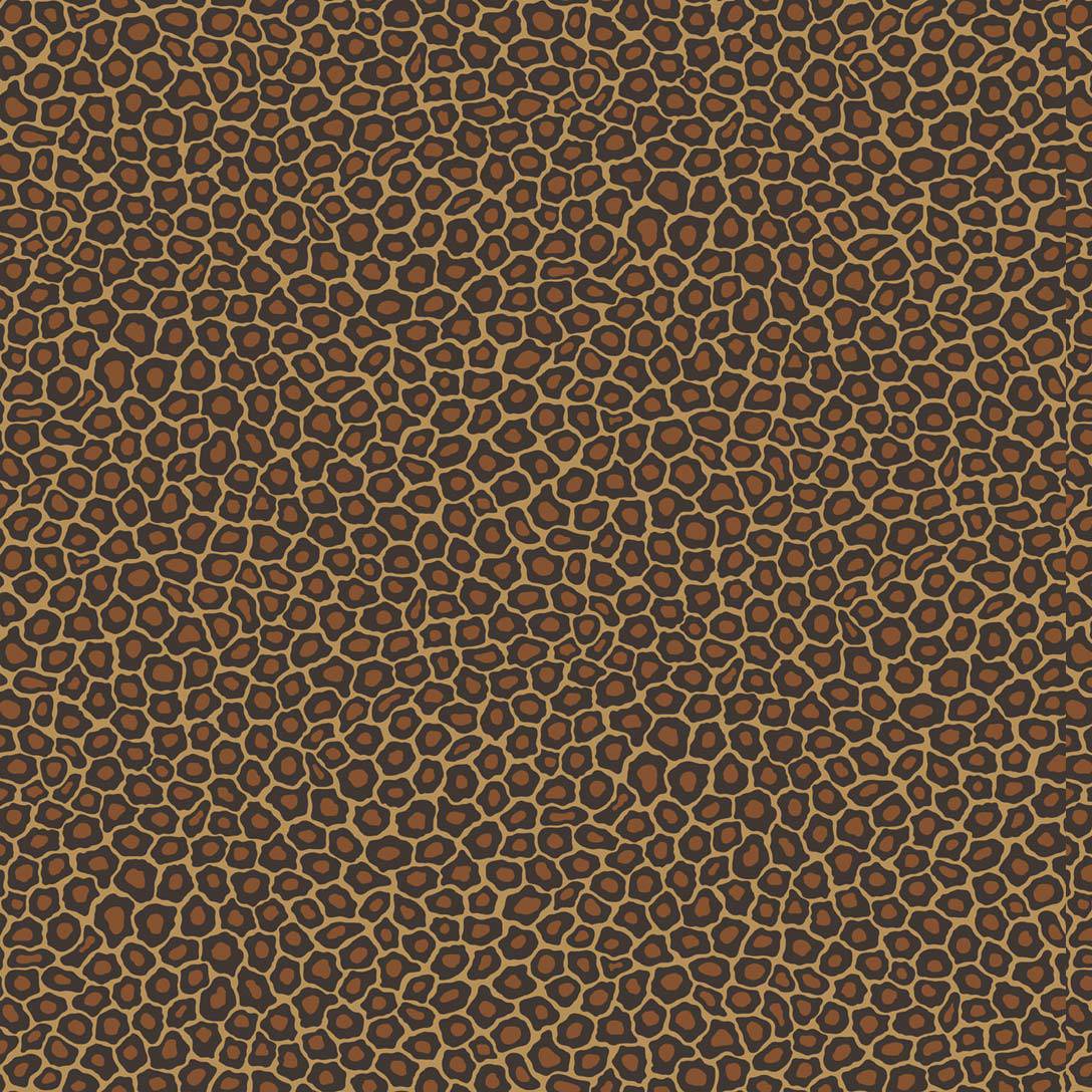 Senzo Spot
