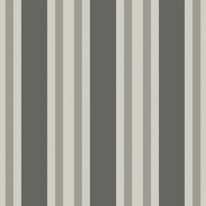 Polo Stripe