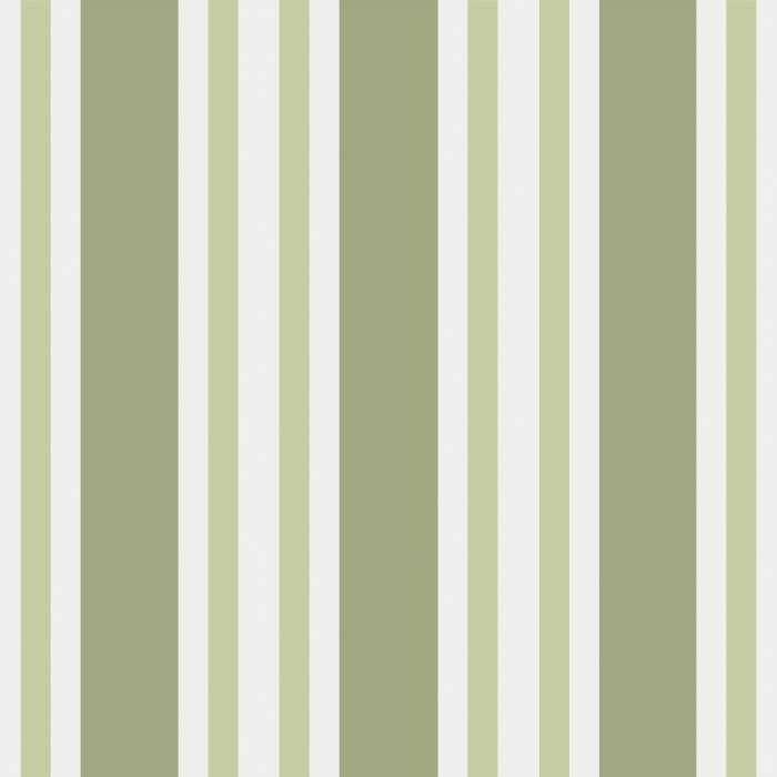 Polo Stripe