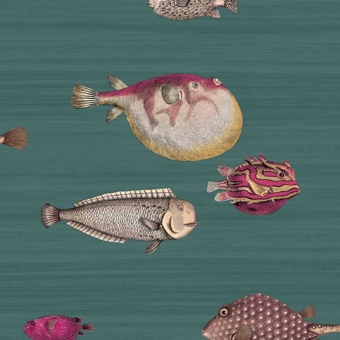Acquario