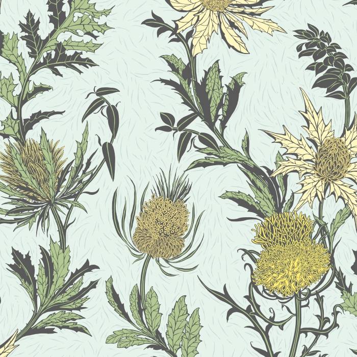 Thistle