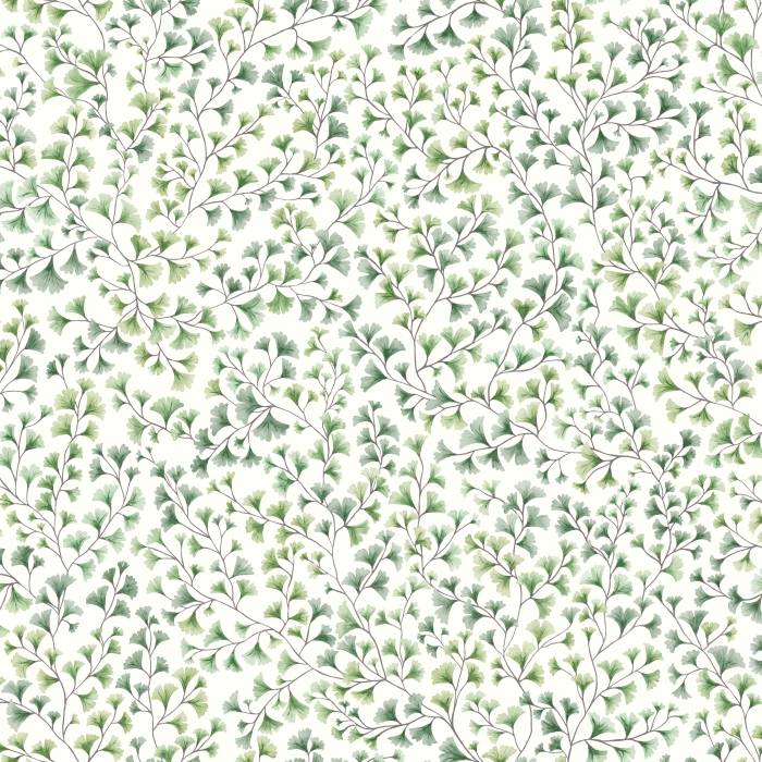 Maidenhair