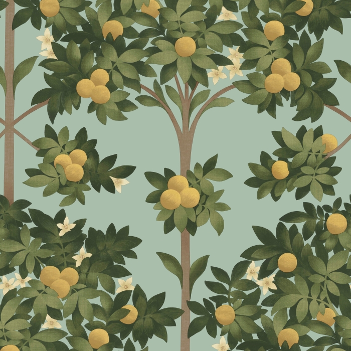 Orange Blossom