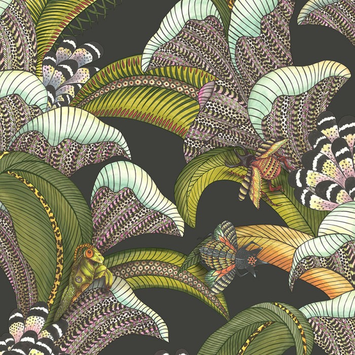 Hoopoe Leaves