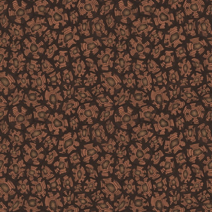 Savanna Shell