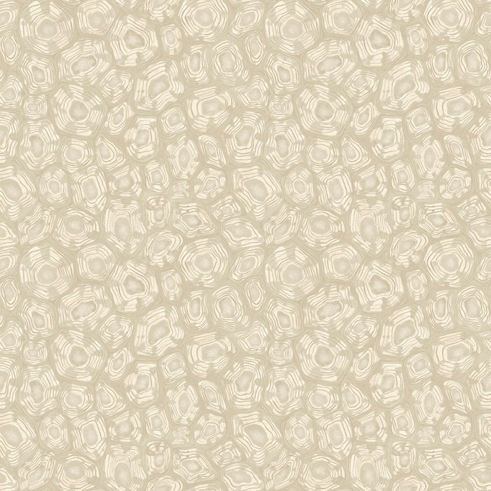 Savanna Shell