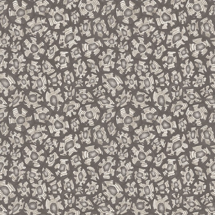 Savanna Shell