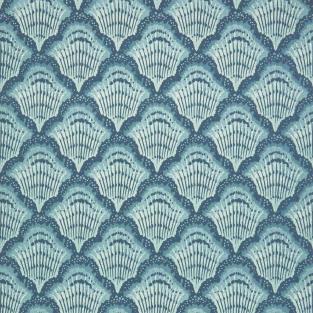 Calico Shell