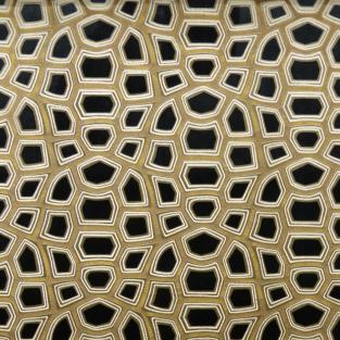 Carapace