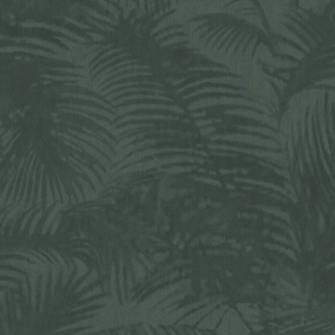 Oasis