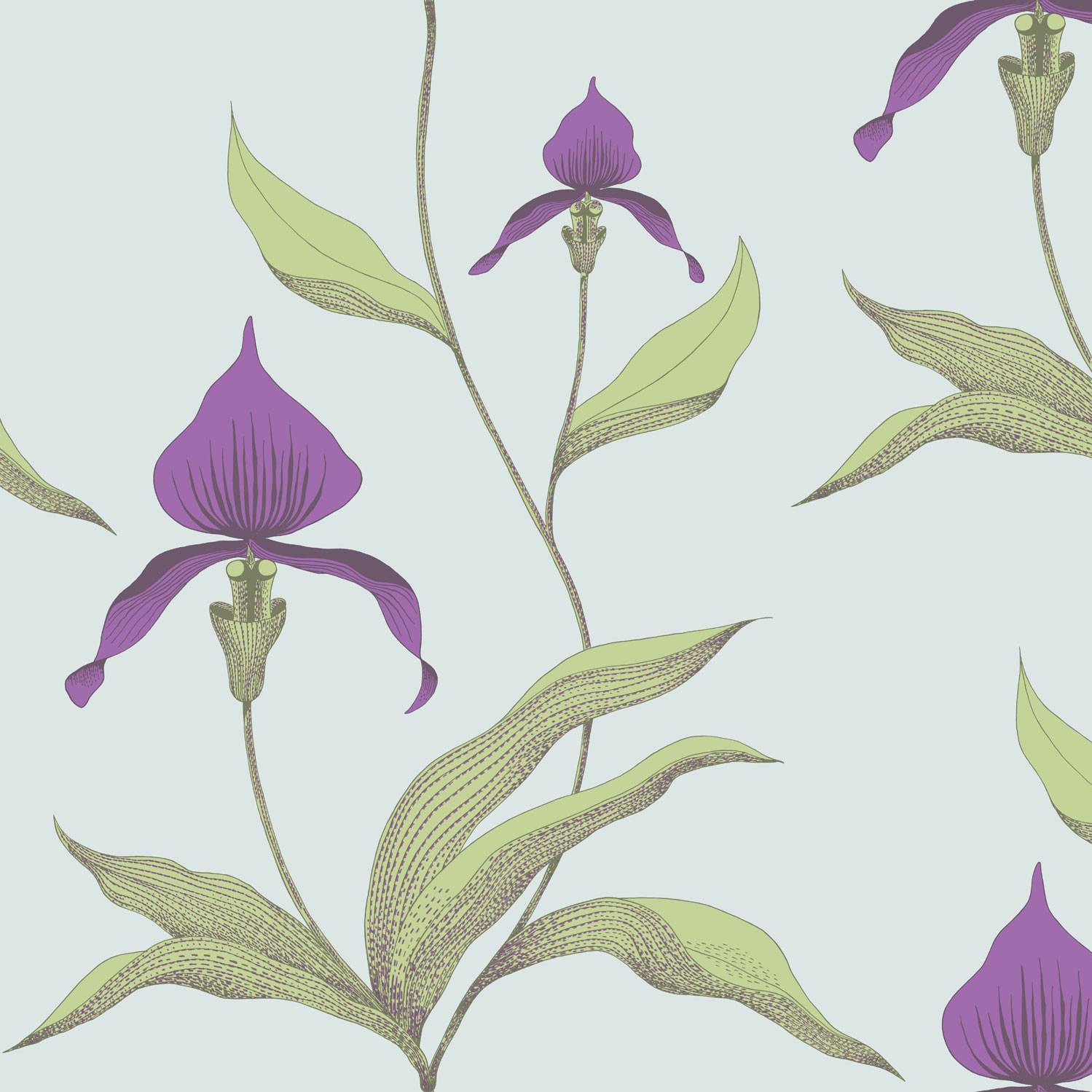 Orchid