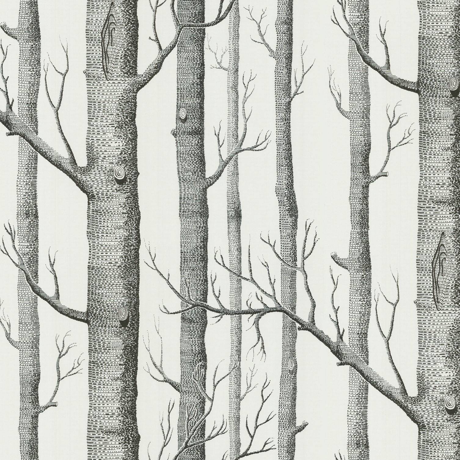 Woods