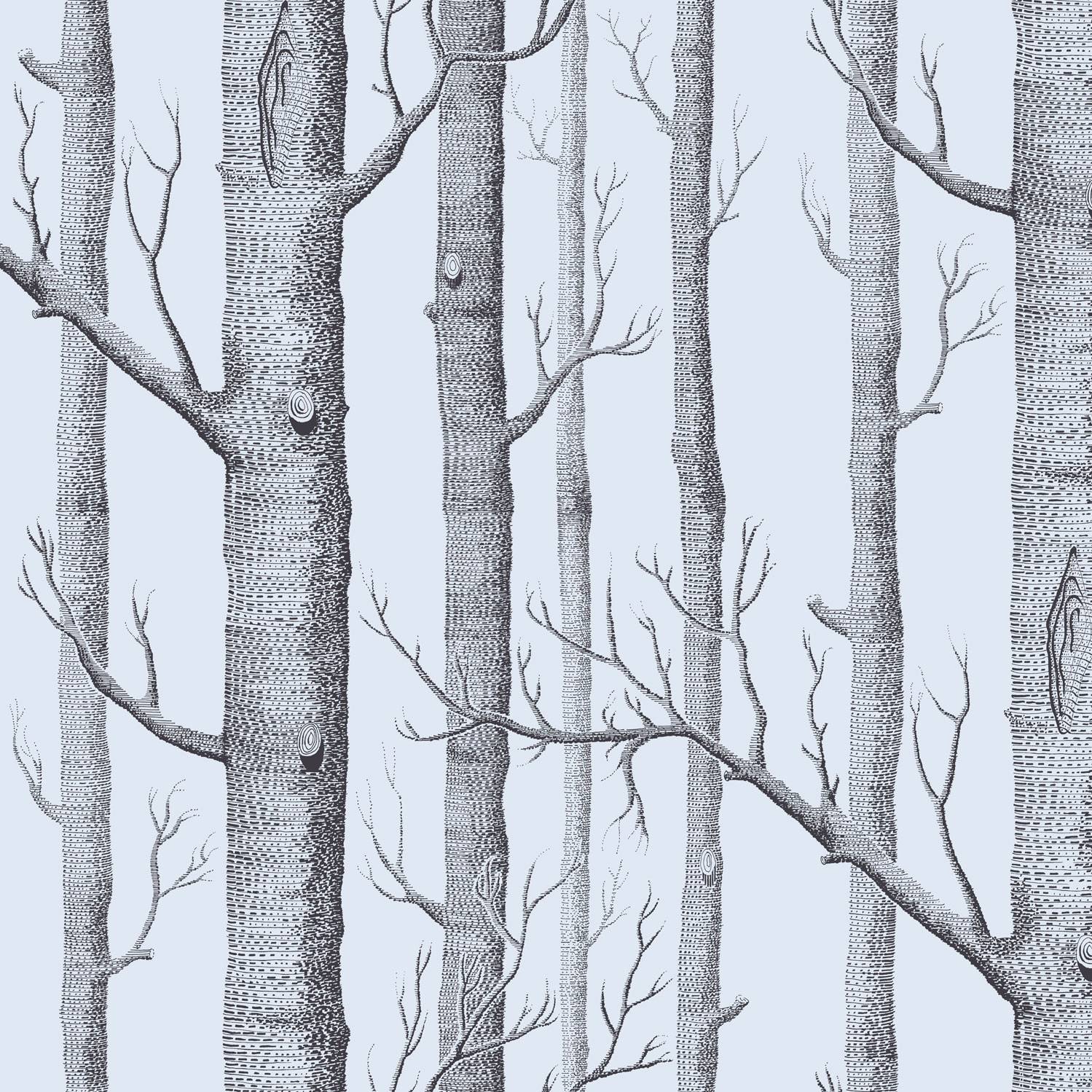 Woods