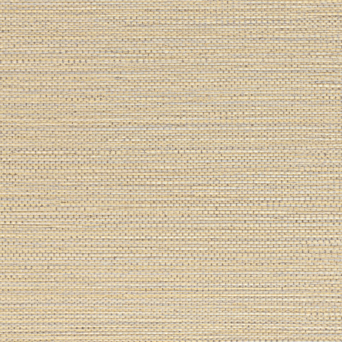 Zostera