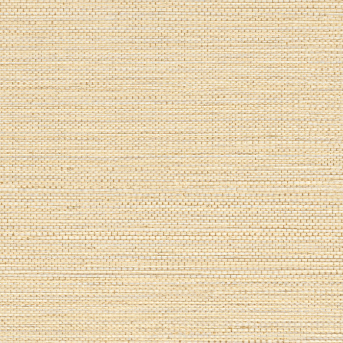Zostera