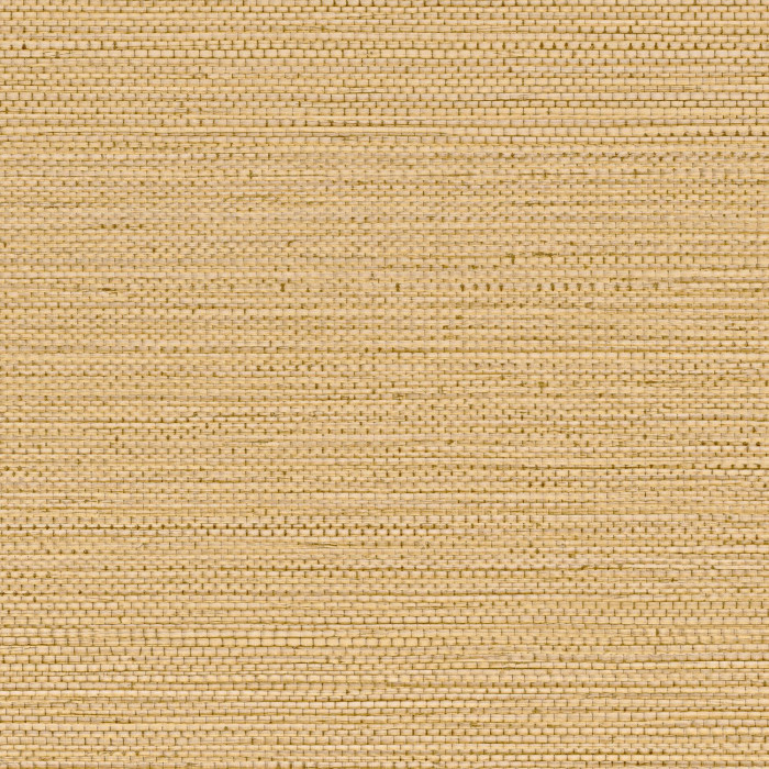 Zostera