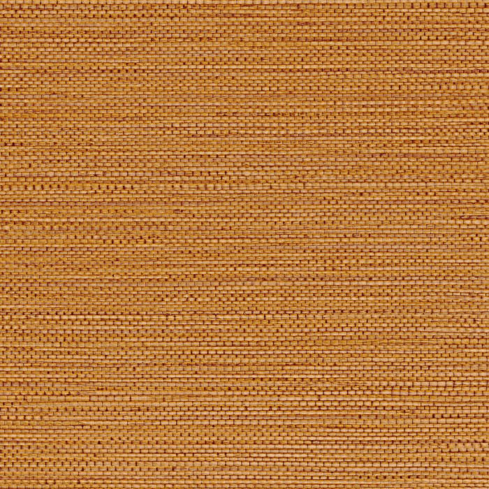 Zostera