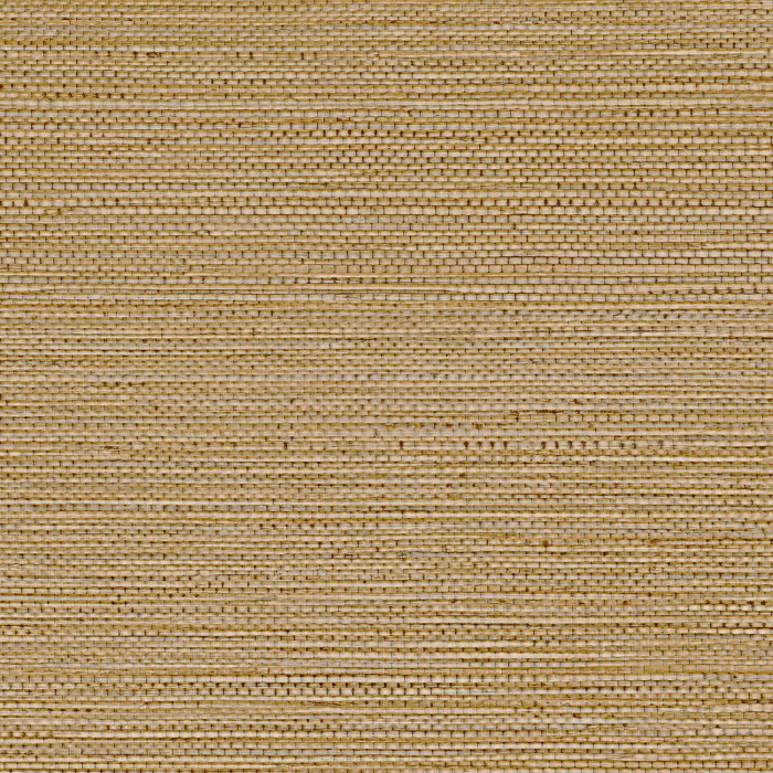 Zostera