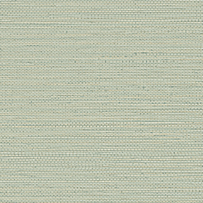 Zostera