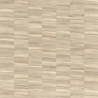 Stylosa