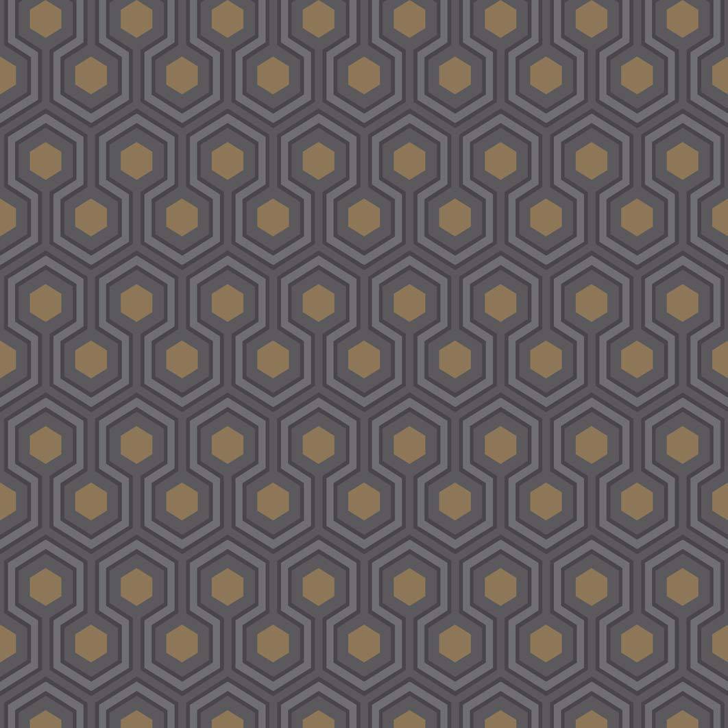 Hicks Hexagon