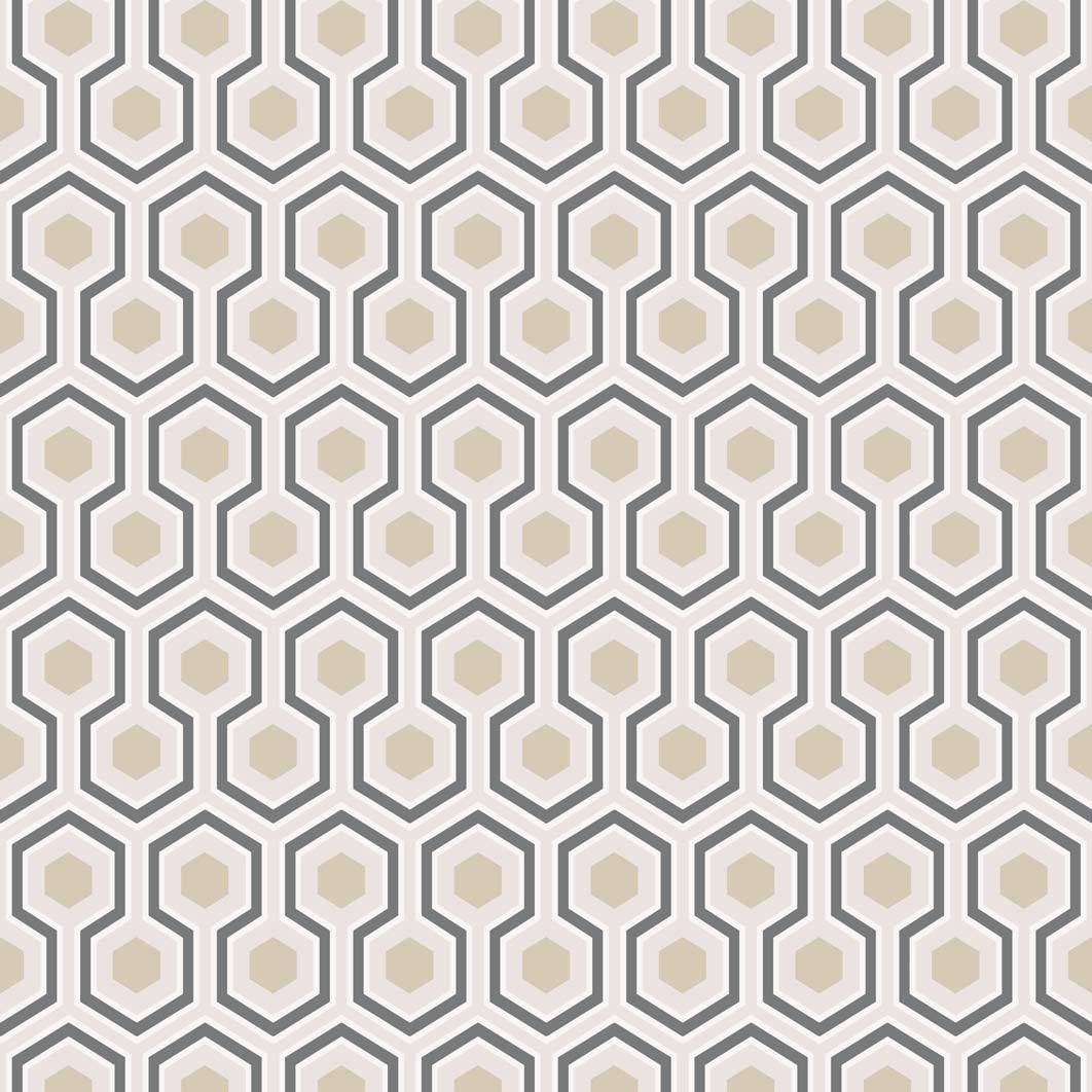 Hicks Hexagon