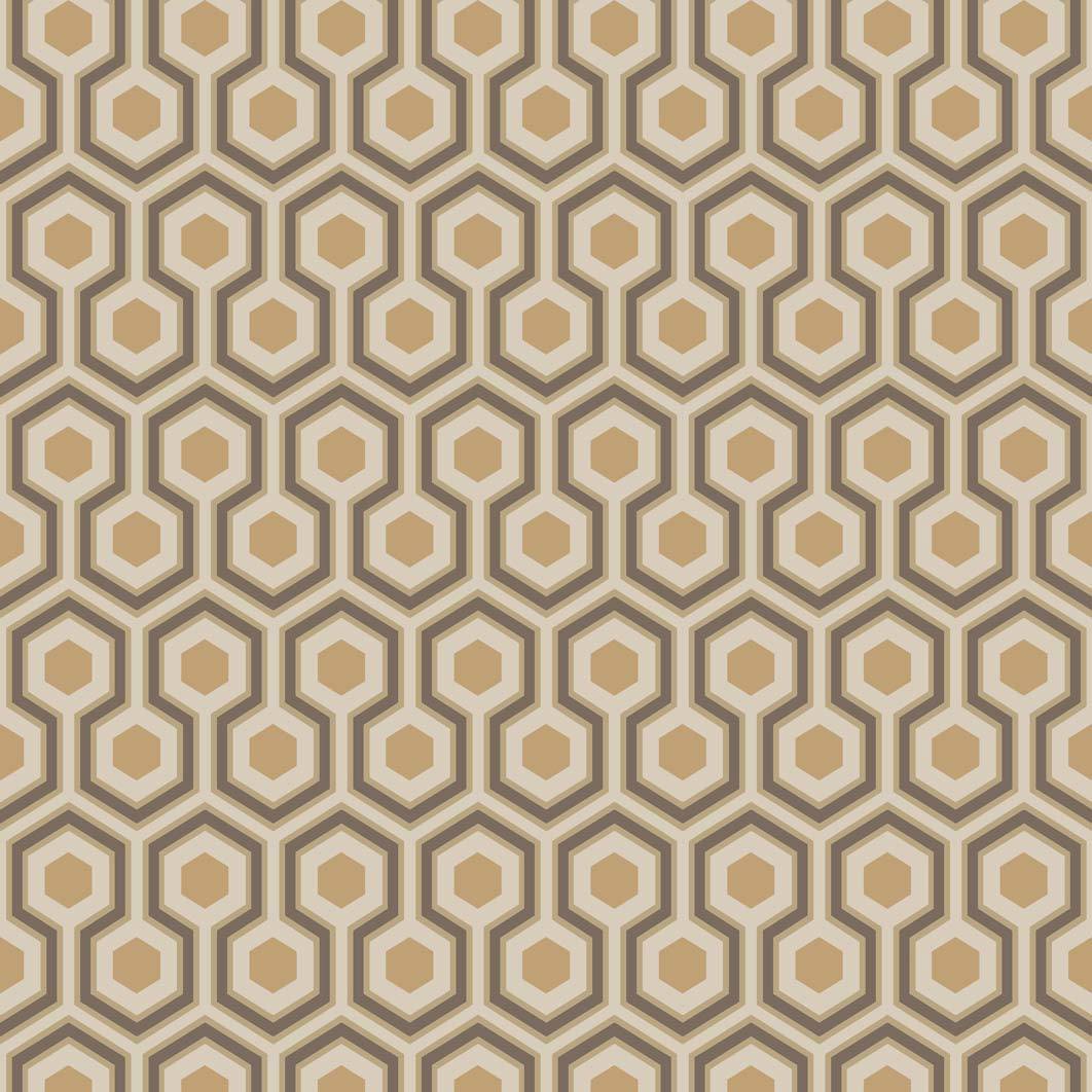 Hicks Hexagon