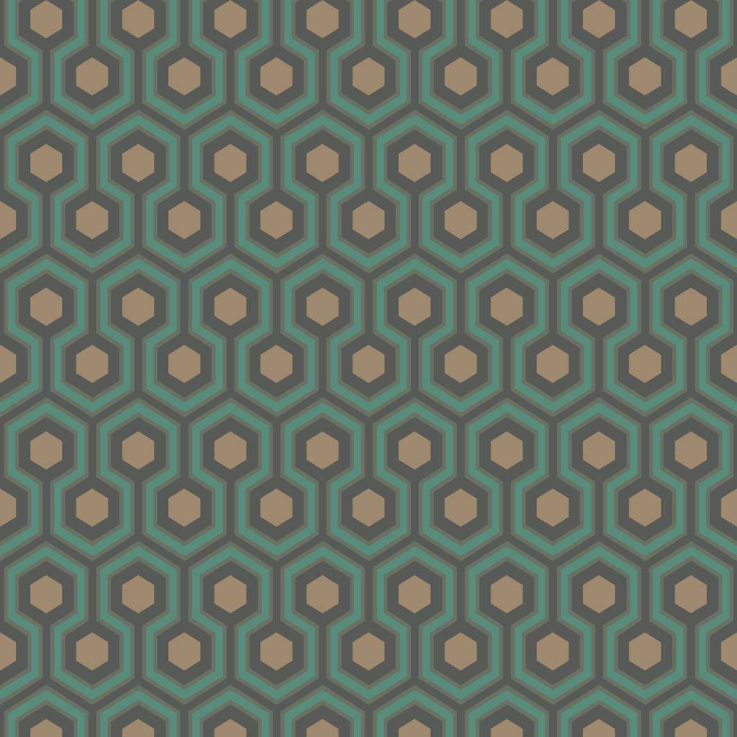 Hicks Hexagon