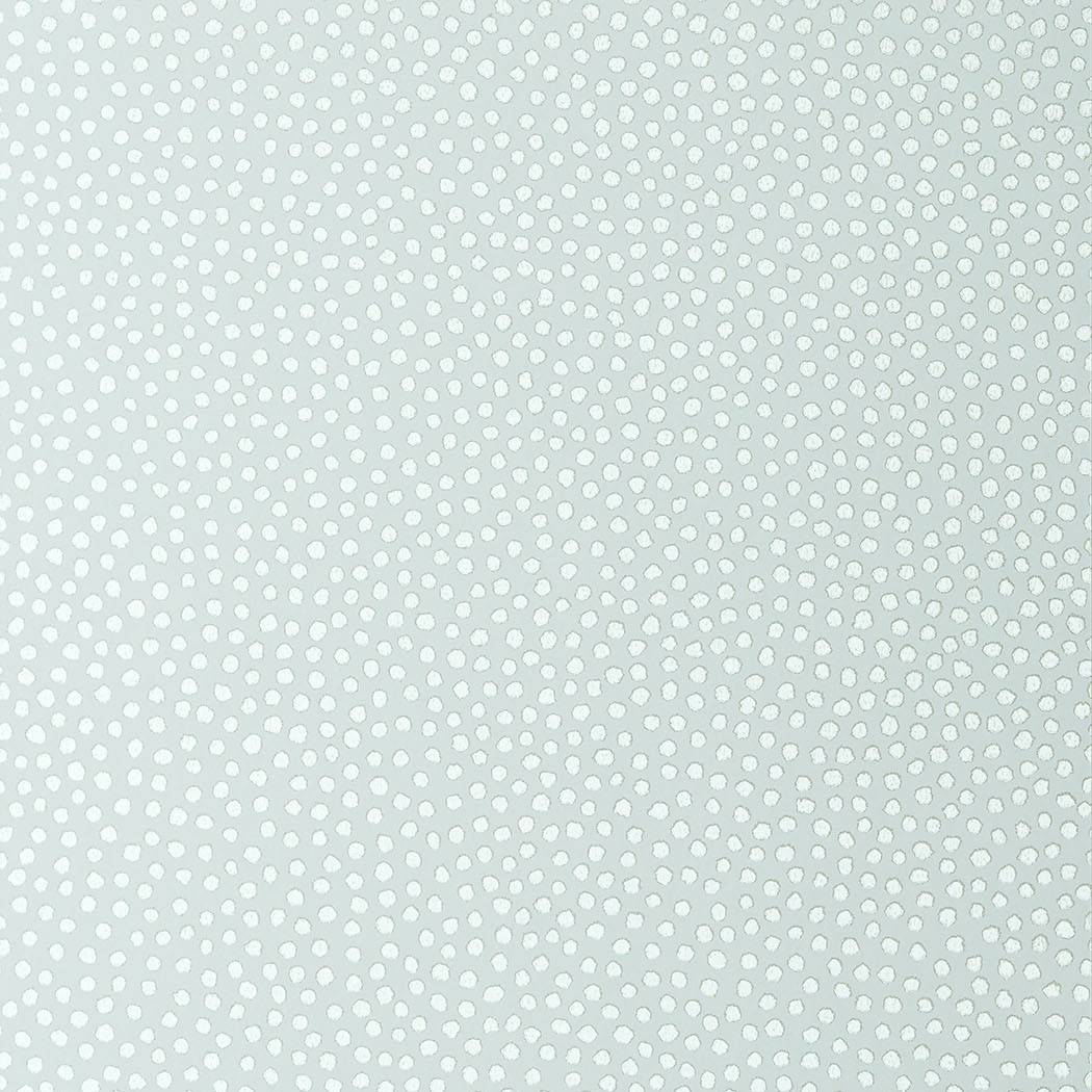 Davis Dot