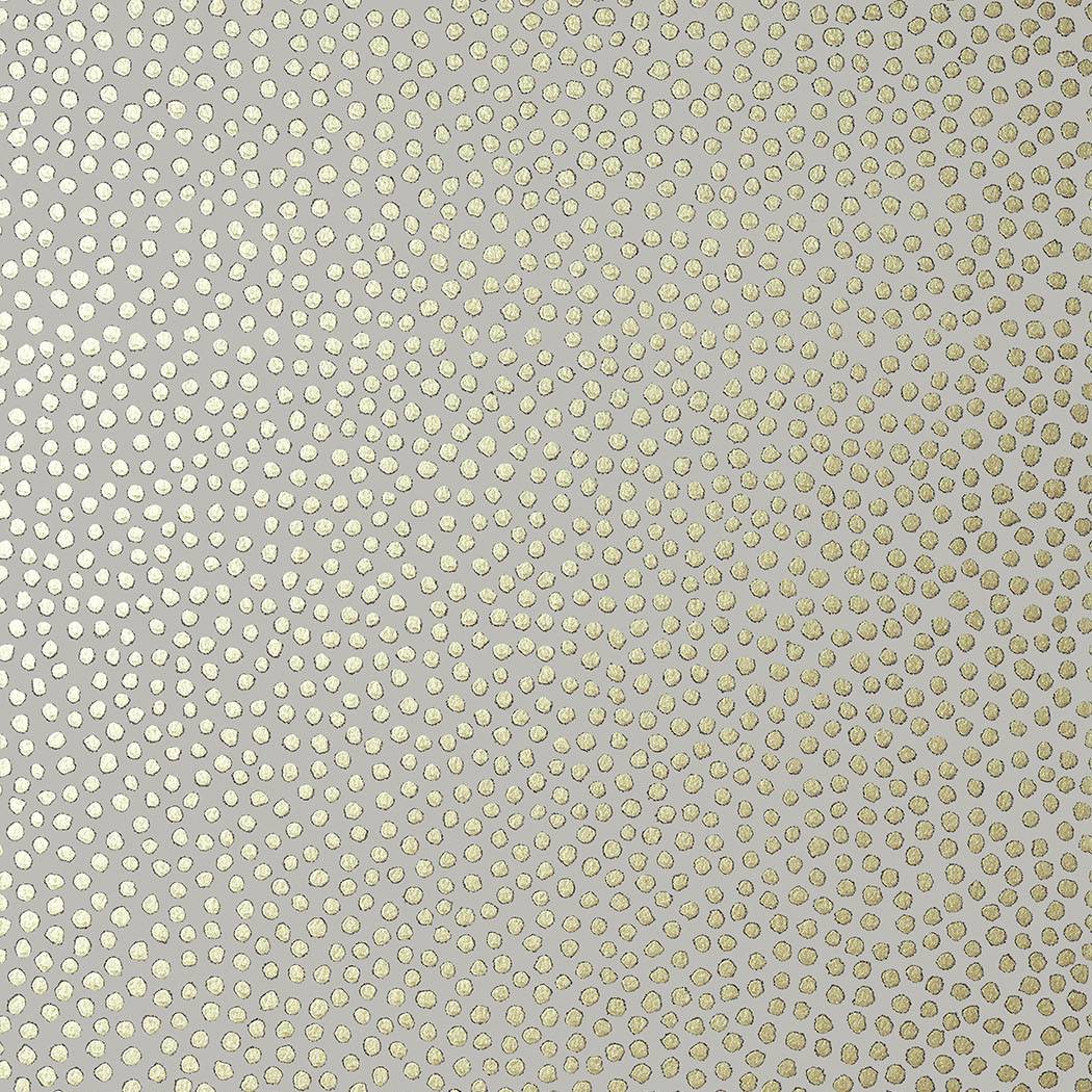 Davis Dot