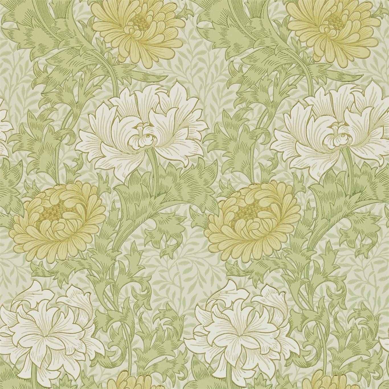 Chrysanthemum