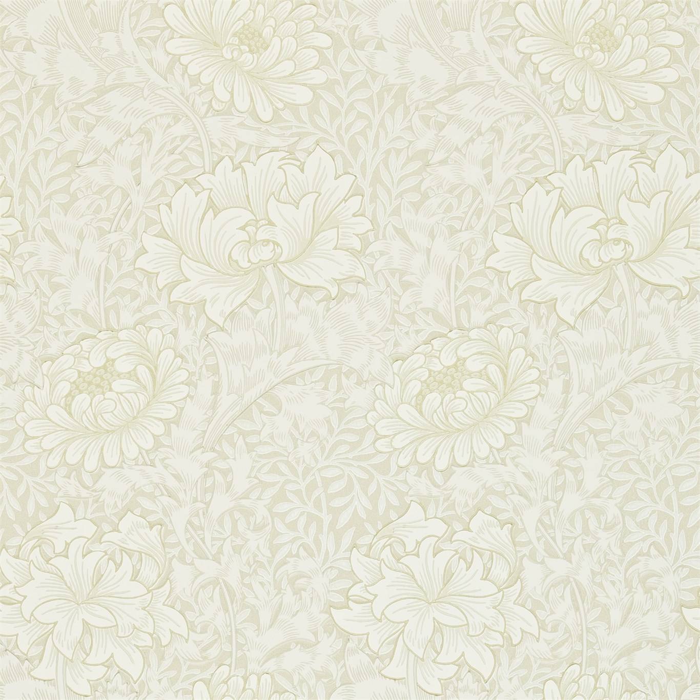 Chrysanthemum