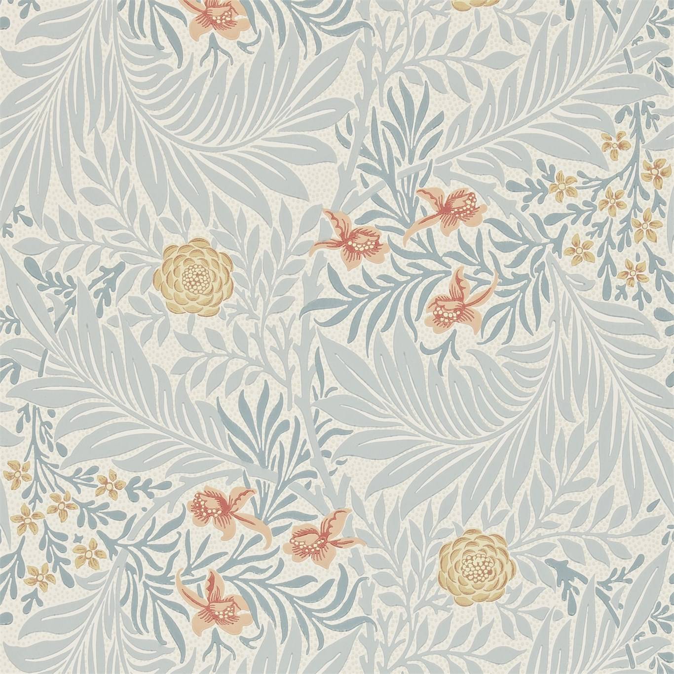 Larkspur