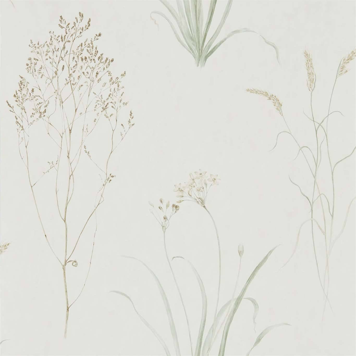 Farne Grasses